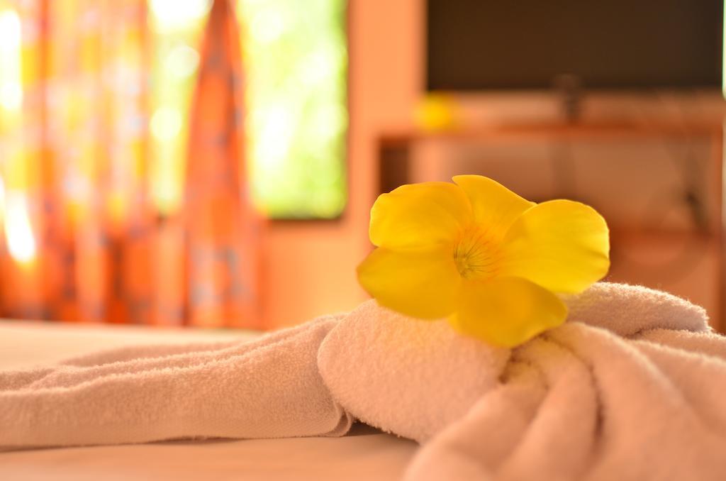 Apartamentos Herrera Puerto Jiménez 部屋 写真