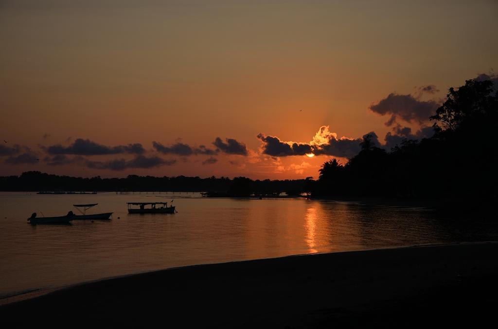 Apartamentos Herrera Puerto Jiménez 部屋 写真